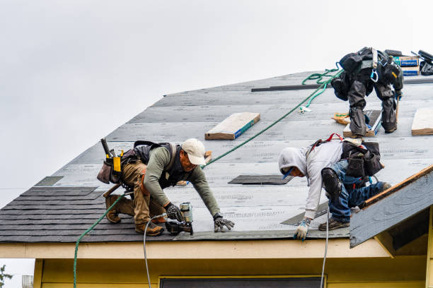 Professional Gutter Installation technician working in Trumbull, NE
